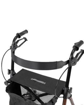 Dietz Rugsteun small Dietz Taima